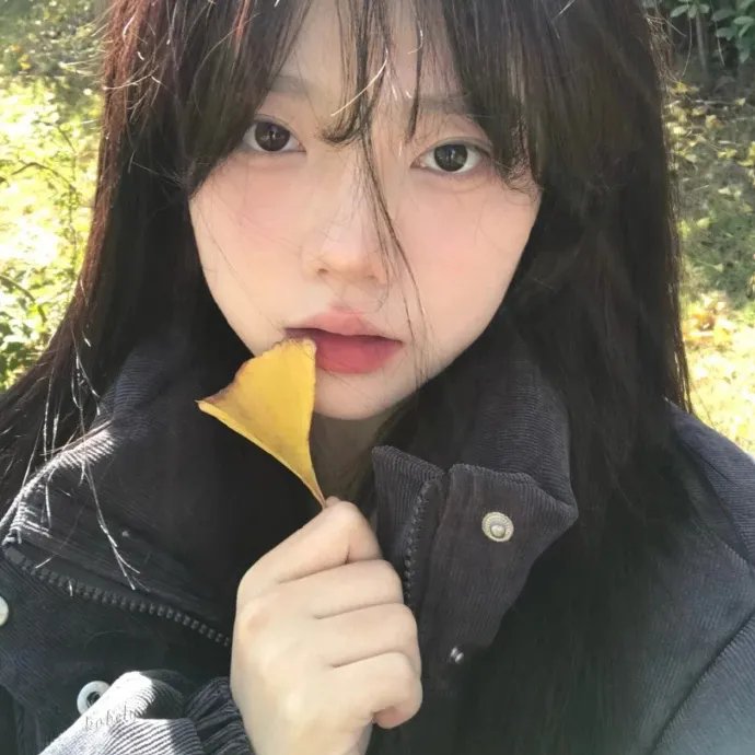 精灵鼠小弟